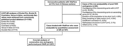 Comparative Quantitative Aortographic Assessment of Regurgitation in Patients Treated With VitaFlow Transcatheter Heart Valve vs. Other Self-Expanding Systems